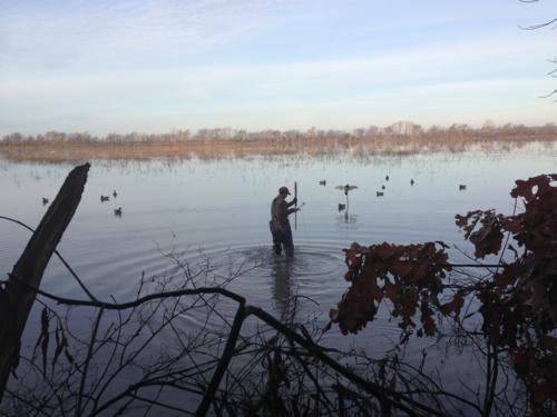 Arkansas Duck Hunting Paradise 